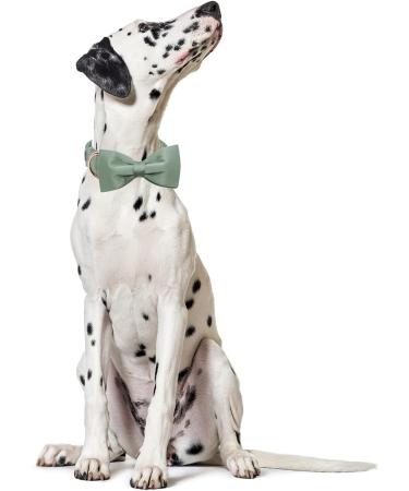 Shop Lionet Paw's Comfortable Silk Green Dog Collar with Removable Fly - XS for Puppies & Cats (20-30cm) - Ideal for International Shipping - Buy Online on SooperMarket.com