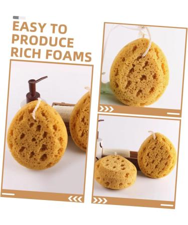 2pcs Exfoliating Bath Sponge Set | Back Scrubber & Body Wash Accessories | Ideal for Shower & Skin Cleaning - Buy Online on SooperMarket.com