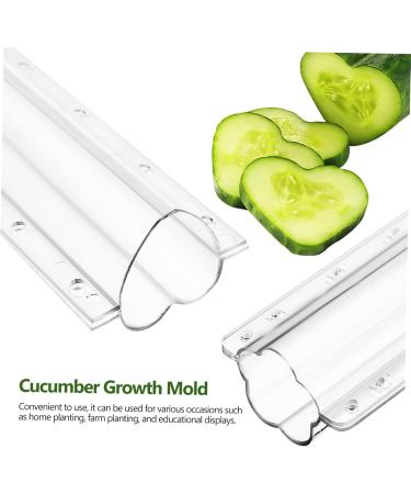 GANAZONO Cucumber Molds 4 Pcs Cucumber Fruit Shape Mold Fruit Shaping Mold Vegetable Mold Combination Modeling Accessories - Buy Online on SooperMarket.com