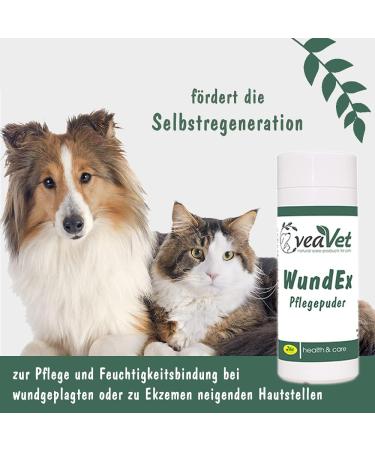 Veavet Woundex Nursing Powder 15g | Fast International Shipping & Quality Care - Buy Online on SooperMarket.com