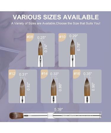 Shine Chance Acrylic Nail Art Brush Size 8 - 100% Pure Kolinsky Hair Oval Nail Brush for Professional Acrylic Application and Manicure - DIY Home Salon Tool - Buy Online on SooperMarket.com