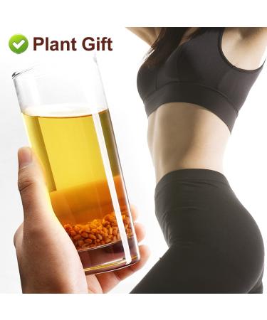 Buy PlantGift Barley Tea 200G - Caffeine Free Sugar Free Digestive Support & Fat Burning Mugicha - Buy Online on SooperMarket.com