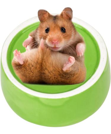 CAJHFIZHANGU 1pc Gradient Side Hamster Ceramic Bowl Hamster Food Bowl Ceramic Water Bowl Small Animal Water Bowl Anti-bite Small Animal Food Bowl Water Feeder for Rabbit Hedgehog Guinea-Pig Green - Buy Online on SooperMarket.com