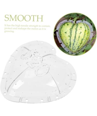 Gadpiparty Plant Vegetables Fruit for Outdoor Vegetable Pumpkin Watermelon - Buy Online on SooperMarket.com