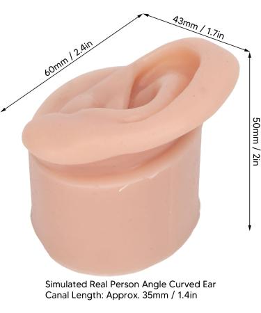Display Ear Model Reusable Simulated Silicone Practice Ear Model Portable Elastic for Jewelry Store for Beginner(Right) - Buy Online on SooperMarket.com