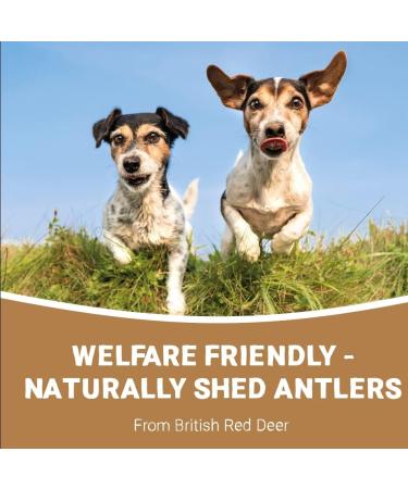 Pets Purest 100% Natural Red Deer Antlers for Dogs - 2 Small Stag Horn Bones - Premium Treat & Plaque Removal Chews - Buy Online on SooperMarket.com