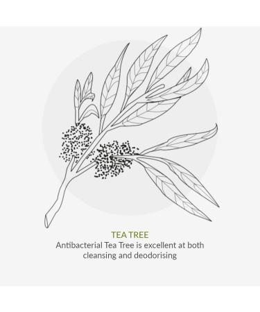 Green People Oy Clear Skin Purifying Serum 30ml | Organic Young Spot Serum for Teenagers | Natural Spot Product for Teen Skin Spot Prone | Paraben Free Ethyl Alcohol Free | Cruelty Free & Vegan - Buy Online on SooperMarket.com