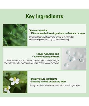 ISOI Moisture Dr.Ampoule 40ml | Hydrating Facial Moisturizer for Dry & Sensitive Skin | Tea Tree Ceramide & Hyaluronic Acid | Skin Barrier Repair - Shop Internationally - Buy Online on SooperMarket.com