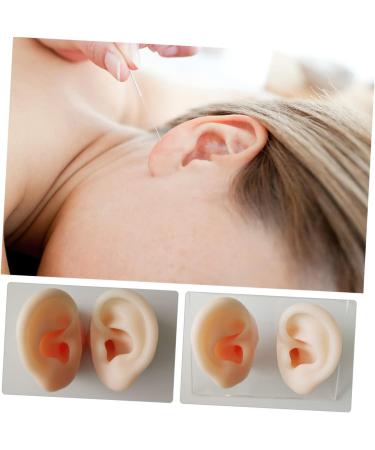 Silicone Ear Models for Ear Picking and Display - 1 Pair - Buy Online on SooperMarket.com
