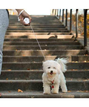 Mioyoow Mini Retractable Dog Leash 3m - Reflective Roller Leash for Small Dogs & Cats | International Shipping - Buy Online on SooperMarket.com