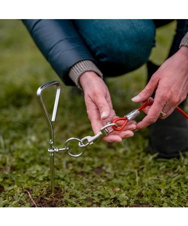 Nobby Spiral Stake with Cable - Buy Online on SooperMarket.com