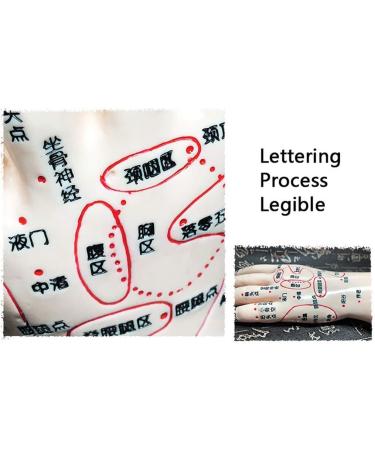 Acupuncture Main Model - Acupuncture Education Teaching Model - HD Chinese Human Lettering - for Points of Acupuncture Meridian and Medical Acupuncture - Buy Online on SooperMarket.com