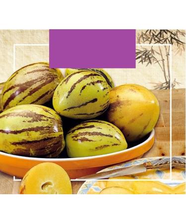 Buzzy Xotica Pepino Melon Pear - Seeds Content: Approx. 15 Seeds