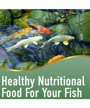 Aqua Nutrition Goldfish and Koi Pond Premium Pellet Food (2200g) BOGOF - Premium Complete Feed for All Pond Fish 5.6L - Buy Online on SooperMarket.com