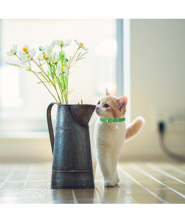 Handmade Leather Cat Neck Straps with Bells - Adjustable Durable 8-Piece Set for Small Pets | Perfect for Indoor & Outdoor Use - Buy Online on SooperMarket.com