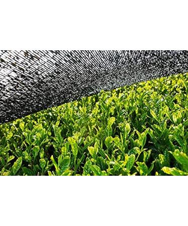 Buy Organic Matcha Powder 100g - 100% Natural Japanese Green Tea | Premium Quality | Additive-Free - bioKontor - Buy Online on SooperMarket.com