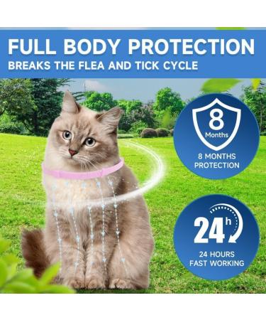 Woyamay Cat Repellent Collars Luminous Safety Glow Cat Repellent Collars Adjustable Water Resistant Repellent Collar for Cats Small-Medium-Large Pink - Buy Online on SooperMarket.com