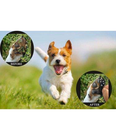 Buy VALFRID Anti-Slip Paw Protectors for Dogs - 24 Pieces Self-Adhesive Silicone Gel Non-Slip Dog Shoes & Socks for Small Dogs (S 3.3*3.9cm 0-5kg) - International Shipping Available - Buy Online on SooperMarket.com