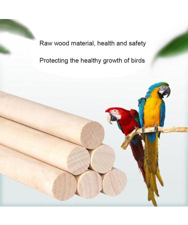 Buy Bugbags for Birds | Parrot Wood Platforms & Chewing Swings with Bells | Perfect for Green Cheeks Chinchillas & Hamsters - International Shipping Available - Buy Online on SooperMarket.com