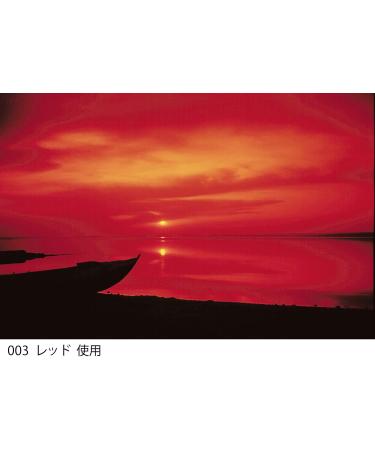 Cokin Square Red (Z003) Filter - 3 1/3-Stop for L Series Holder - 100mm X 100mm - Buy Online on SooperMarket.com