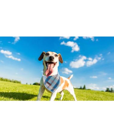 Lionet Paws Blue Grid Dog Bandana for Small Medium Large Dogs - Triangle Scarf for Boy or Girl - Pack of 1 - Buy Online on SooperMarket.com