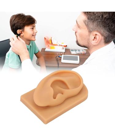 Silicone Right Acupuncture Ear Model - Waterproof Hearing Aid Display Accessory for Science Education - Buy Online on SooperMarket.com