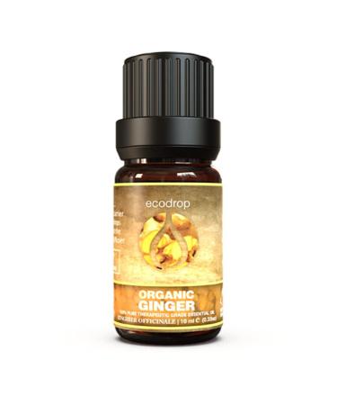 Ginger Essential Oil Cosmos Certified Organic Pure Ginger Root Oil Therapeutic Grade for Aromatherapy 10ml Free E-Book Included by Ecodrop (Organic Ginger)