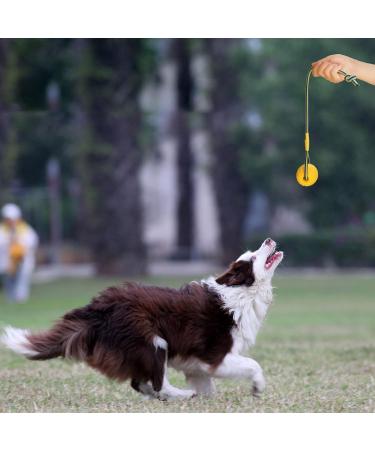 Buy Durable Dog Toys: Flee Durafoam Ball & Rope - Perfect for Large & Small Dogs - International Shipping Available - Buy Online on SooperMarket.com