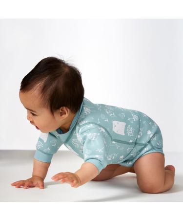 Splash About Happy Nappy Wetsuit & Reusable Swim Nappy - Sunny Bear 12-24 Months - Buy Online on SooperMarket.com
