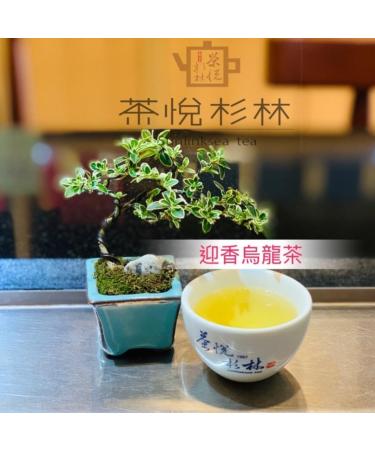 Taiwan unique tea TTES No.20(Yingxiang) Shanlinxi Alpine Oolong Tea 150g*4 - Buy Online on SooperMarket.com