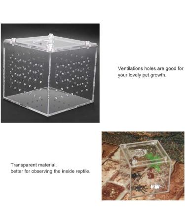 Acrylic Reptile Breeding Box Transparent Live Food Storage Insect Viewing Box for Spider Crickets Snails Hermit Crabs Tarantulas Geckos 3.9x3.9x3.5inch - Buy Online on SooperMarket.com