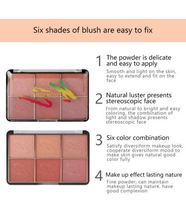 Go Ho 6-Color Face Blush Palette Light Matte Contour Makeup Kit - Set with Brush - Buy Online on SooperMarket.com