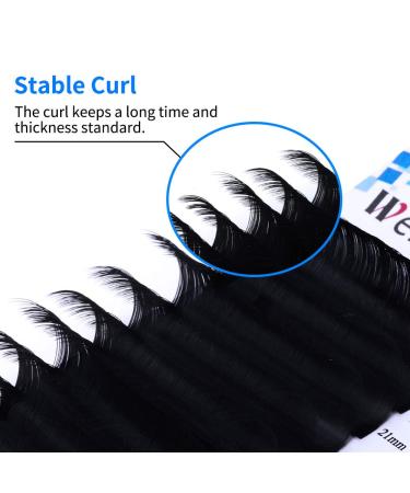 Eyelash Extensions D Curl 20-25mm | Silk Individual Lashes 0.20mm | Classic Extensions for Salon Use by WENDY LASHES - Buy Online on SooperMarket.com