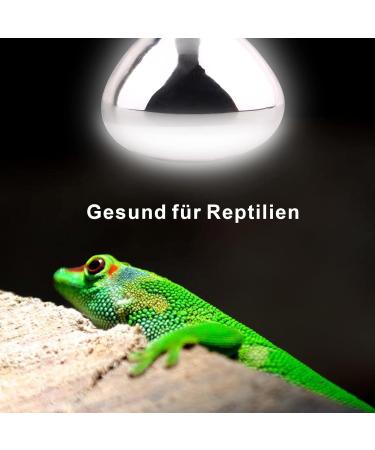 Buy Dernord 100W UV Heat Lamp for Turtles Geckos & Terrariums - Full Spectrum E27 Solar Spotlight - Buy Online on SooperMarket.com