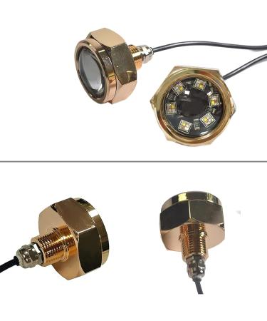 JXOFROAD 1/2 NPT RGBW Boat Drain Plug Lights - 2 Pack | Underwater Stainless Steel Stern Plug Lights | Remote/APP Control Dynamic Modes - Buy Online on SooperMarket.com