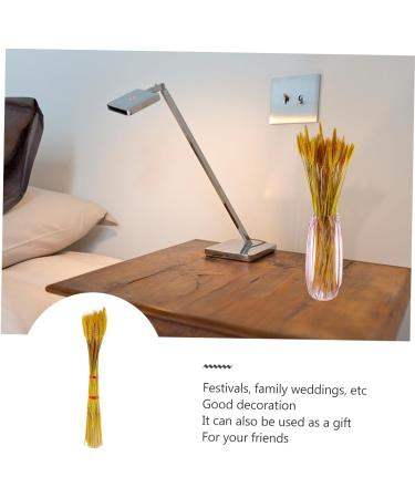 Abaodam 200 Pcs Dried Wheat Ears Bouquet Decked Dried Flower Bouquet Wheat Sheave Bundle Wheat Sheave Flower Wedding Decoration Wheat Stalk Ears of Wheat Gift Dried Flowers. Yellowx2pcs 52X10CMx2pcs - Buy Online on SooperMarket.com