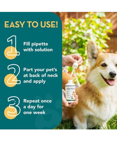 The Healthy Dog Co Spot On Flea and Tick Treatment for Dogs 100ml - Buy Online on SooperMarket.com