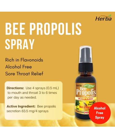 Herba Bee Propolis Throat Spray 30ml - No Alcohol | Helps Relieve Sore Throats and Mouth Infections | Rich in Flavonoids | 100% Natural - Premium Grade | Made in Canada | Alcohol Free Spray - Buy Online on SooperMarket.com