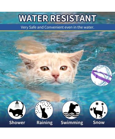 YOTANGO Cat Collar Repellent 4 Pack Cat Collar-Built-in Pant-Based Formula Strong Repellency Slow Release Pleasant Aroma Waterproof (PurpleGrey) - Buy Online on SooperMarket.com
