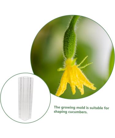 Happyyami 4 Pcs Vegetable Shaping Mold Fruit Cucumbers Mold Shaping Vegetable Forming Mould Mushroom Modeling - Buy Online on SooperMarket.com