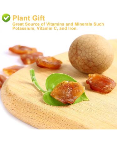 Plantgift Natural Dried Longan 100g - Premium Quality 100% Fruit Meat No Sugar Perfect for Teas Desserts & Cooking - Buy Online on SooperMarket.com