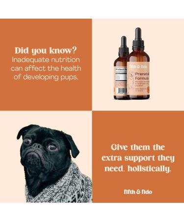 Dog Prenatal Vitamins with Folic Acid | Essential Nursing Puppy Supplies for Healthier Litter | Immune System Support for Dog Breeding | 2 oz - Buy Online on SooperMarket.com