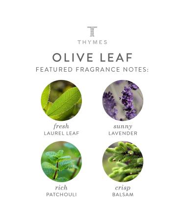 Thymes Olive Leaf Body Lotion with Shea Butter, Vitamin E, and Olive Oil - 9.25 oz (Pack of 1) - Buy Online on SooperMarket.com