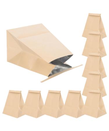 Healeved 20pcs Bags Pregnant Waste and Morning Sack Vomit Throw Multi-Function Disposable Carsickness Bag Outdoor Paper Travel Puke Airplane Emesis for Portable Adults Indoor Light Brownx2pcs 1 Count (Pack of 1)