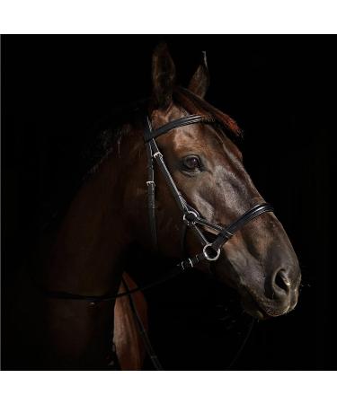 Horze Denver Bitless Bridle - Black Cob Size | Shop Now - Buy Online on SooperMarket.com