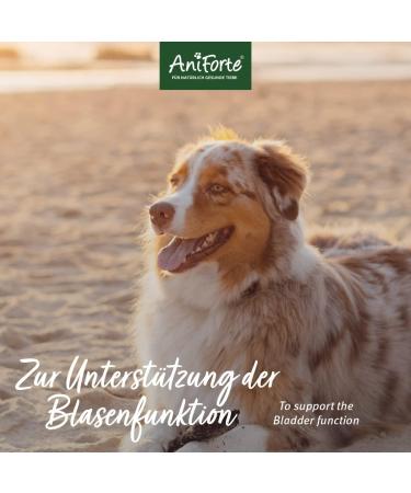 Aniforte Bladder Formula for Dogs - 100g | Supports Bladder Function & Reduces Urine Loss - Buy Online on SooperMarket.com