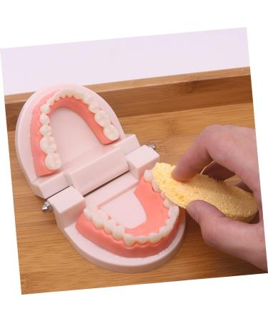 Minkissy Educational Tooth Brushing Toy Set - Early Learning Teeth Model for Kids | Reusable Pedagogical Teaching Tools - Buy Online on SooperMarket.com