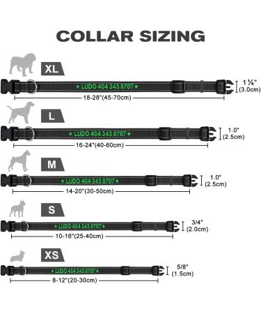 Buy Tagme Personalized Dog Collar for Small Dogs | Embroidered Reflective Nylon with Pet Name & Phone Number - Black XS (1 Pack) - Buy Online on SooperMarket.com
