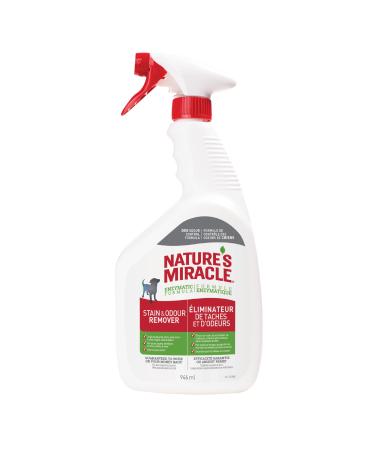 Nature s Miracle Dog Stain and Odour Remover Foam Aerosol 17.5 oz White 946 ml (Pack of 1) Nature's Miracle Stain & Odor Remover - 32oz Trigger