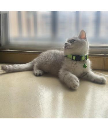 Hepplly 2-Pack Reflective Cat Collars with Bell - Quick Release Kitten Collars (Light Green) - International Shipping Available - Buy Online on SooperMarket.com